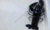 ǹDestructor Թ1袹Ҵ 3.5  (Դâ BJP Crayfish ^ ^ Ѻ)