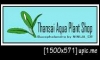 Thansai AquaPlant Shop  駤з贷ҧ¤Ѻ µ͡ҤѺ