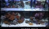 Secret box... Nano tank 24" ç Ѿവҡ͹