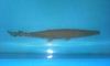 ��� �������� ��� ����ҳ 11" ��Ҿ����ó� (�������)