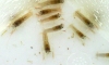  ����������� 1-2 CM  2�ش ����� 27/04/54 - 28/04/54  ������� 23.59.59