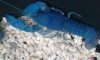 �Դ�������ʢ�Ҵ 1 ૹ 1 �ش 20 ��� ���駷�� 4 �Ҥ�������鹷��...