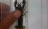 �Դ�â�¤�Ѻ ������·�ͧOrange Tail 3����1��� ��Ѻ Ŵ��Ф�Ѻ