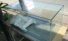 ��µ�� 36" 10 � 4,000 �ҷ