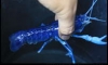����ʹ���Թ��� 4.5 �յ�˹�