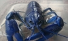 ��� Blue Pearl �١� size 5" �ҤҾ����  (������Ǥ�Ѻ)