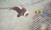 »ҡ 