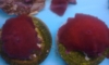 蹨Ѵҫ