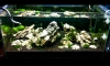 Long times no see ... New landscape updated!!!