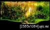 㺷#11 "Petrified Forest" IAPLC 2014 ranking 86