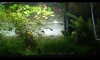 update : áѺ 50cm*30*33  25/09/56