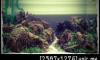 LS #17 - Imagination of Detian #2 ҹ Green Space [˹ 3]