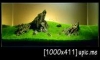 New Project "IWAGUMI" :: Simplified :: 