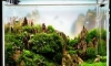 㺷#13 äյ "Tianmu Mountain" Ascended In A Dream 8/05/56-7/12/56 7͹