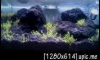 #3 Desktop Tank 10*6*6  "Black Mountain"  17Days Update [Page 1]