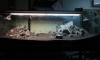 Project 36" Panorama View ѹ