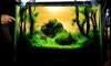 㺷#14 ǧҹ (: 黄山) (CMAC 2013) 6-12-56