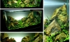 "Green Of Mind"