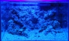 Sea Mountain - Nano 12L ͧѡ (ʹ ^^)