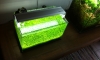 ͵ grass room ҡͺԴҤõѴŧô