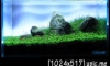 = GROW = 