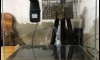 183͹(ӵйӢͧAPP Tropica)