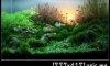  APICHAYA by _..L..
