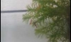  -չ-Ϳ ŧ㹵 駨 