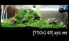 ҹ ѺҾ ( Update 11 .. 57 ˹ 3 )