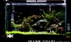 Bucep-Hare Aquarium