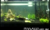  24" Ѵ ͨѴͺ 2 (4/3/2014) ͤй˹¤Ѻ