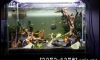 update  24 "ѴԧѧشǤѺ   ҹ 3 ҷԵ