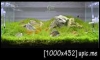 -- Grassy Green -- Ѿഷ 1 ͹觤Ѻ