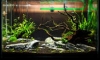 "Peaceful Forest" 㺷 2 ѧҡҧ 5  [Update 25/05/57]