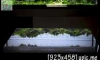 Life of Chaya  by " Aqua Living "