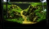 new tank by ROMMY