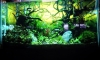 Tank ll 36"  @ؾó Ѿവ 7 . Ի