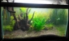 36"