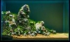  24  "The Island's End"