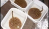 ���ູ�������������������
