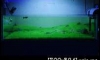 ˭ҡд 36*24*12    ˭ǢդѺ