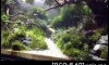 The sound of jungle.  " Aqua Living "