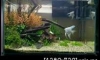 ��¢͹������Шҡ Layout 24��� 300�ҷ