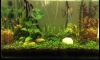 24" á㹪Ե :) Ԩóѹ˹¤