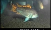 ��� �Ҥҷ�� ��Ժ�����ô �Ѵ�ô����  ����ŧ������� ��Ѻ