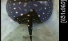 ����١���ູ�Batman Po-black FEmale ������