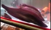 �е�� 28���� �觷����� -1000