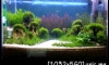 ǹطҹ "Memorytoday" 