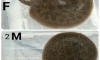 ���  ��ҡ��ູ �١��� ����� �ҡ����    