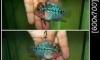 ��� ���ᴧ�ء �ç��� ������ʹ� 3 ��� 